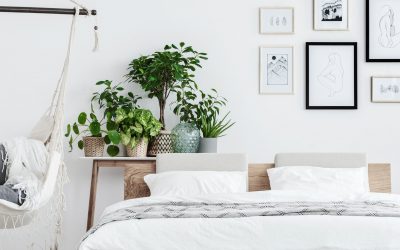 Buscamos habitación para la nueva persona voluntaria de Europa Joven Madrid