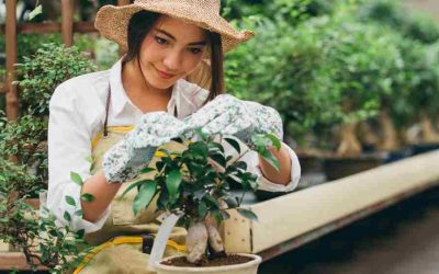 Empleo en Bélgica: Jardinero/a