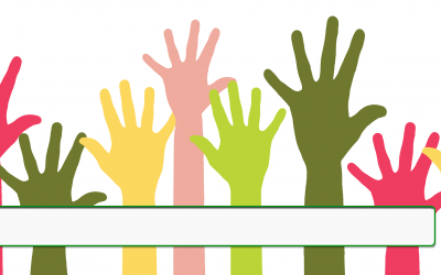 Campos de voluntariado en España