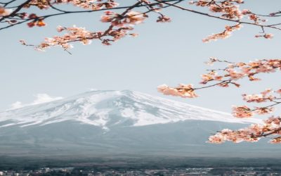 Becas Monbukagakusho para estudiar en Japón