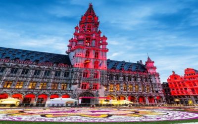 Oportunidad de voluntariado en Bélgica
