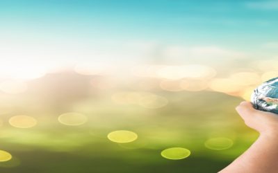 Becas de formación de la Fundación Biodiversidad