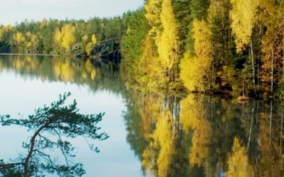 Oportunidad de voluntariado en Finlandia