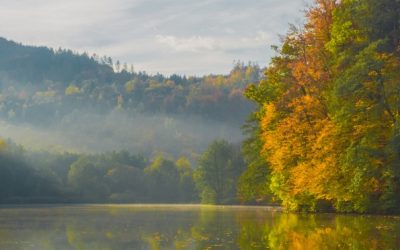 Oportunidad de voluntariado en Austria