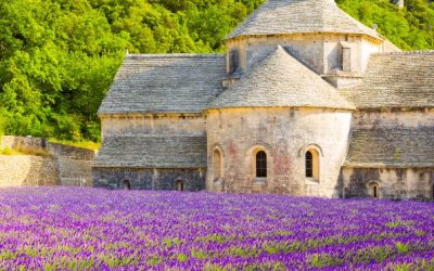 Voluntariado de equipo disponible en Francia