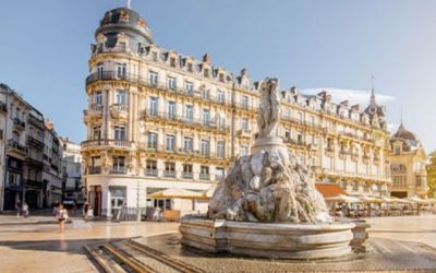 Oportunidad de voluntariado disponible en Francia