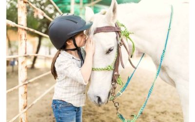 Aprende más sobre Equinoterapia con este voluntariado en Finlandia