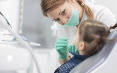 Oferta de empleo en Países Bajos