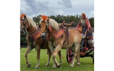 Oportunidad de voluntariado en el yacimiento arqueológico de Rochefort.