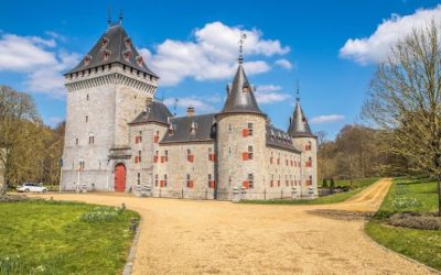 Oportunidad de voluntariado en Bélgica
