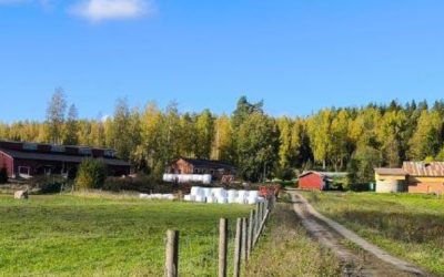 Vive la experiencia del voluntariado en Finlandia