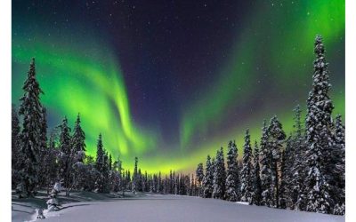 Oportunidad de voluntariado disponible en Finlandia