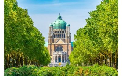 Oportunidad de voluntariado disponible en Bélgica