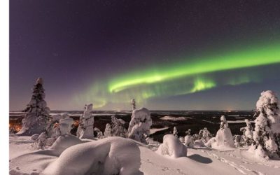 Oportunidad de voluntariado en Finlandia