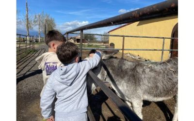 Mi experiencia en el voluntariado in-country